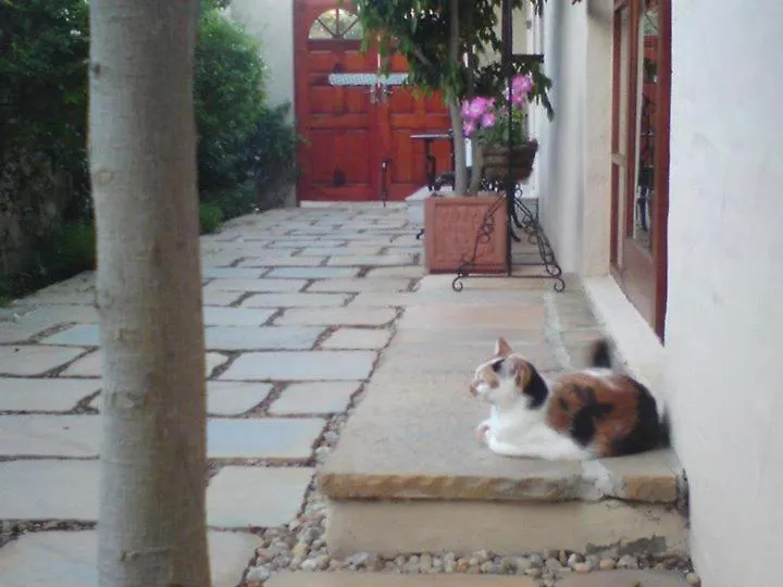 Calico Guest House Port Elizabeth 3*,  South Africa